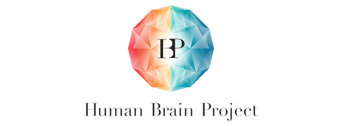 HBP Medical Informatics Platform 